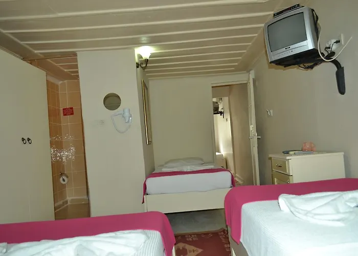 招待所 Antikhan *